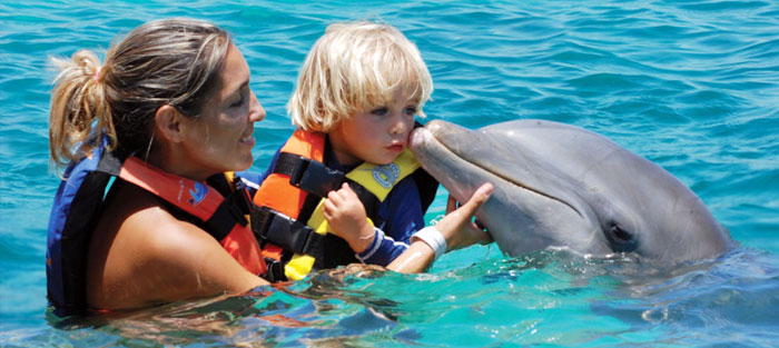 nado con delfines en la Riviera Maya