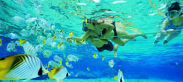 tour de Snorkel, Snorkel en Akumal, snorkel en la Riviera Maya